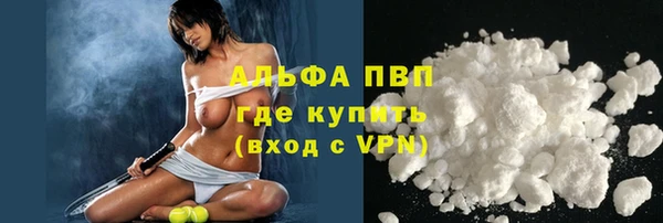 стафф Кинешма
