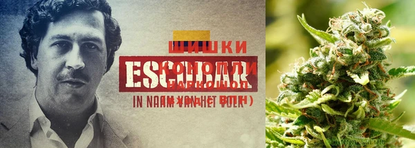 стафф Кинешма