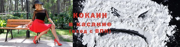 стафф Кинешма