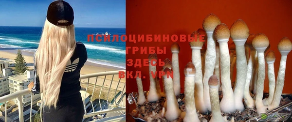 бутират Карпинск