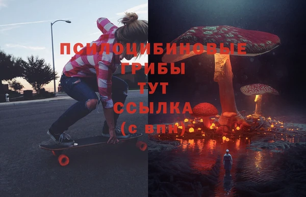 ГАЛЛЮЦИНОГЕННЫЕ ГРИБЫ Киреевск