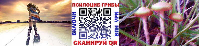 Галлюциногенные грибы Cubensis Кропоткин