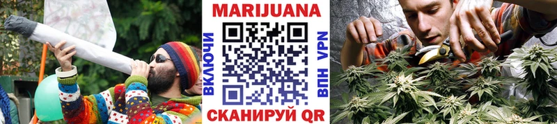 Конопля Bruce Banner  Кропоткин 